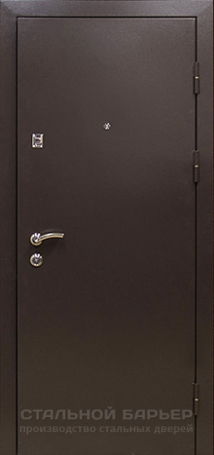 Дверь Порошок №10