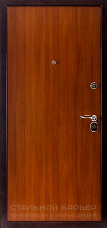 Дверь с ковкой №3